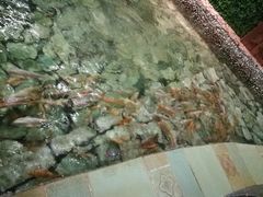 -泉城欧乐堡戏水湾艺术养生温泉