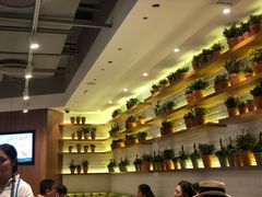 -翠華餐廳(浦东机场T1店)