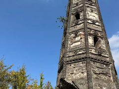 -上海佘山国家森林公园天马山园