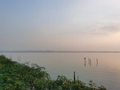 -贡湖湾湿地公园