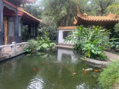 -广州兰圃