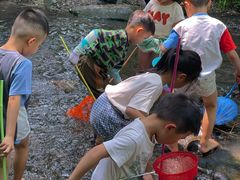 -桤木河湿地公园