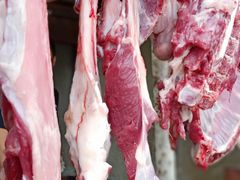 -黑公羊新疆菜(人和店)