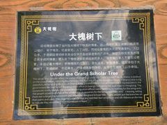 -大槐树寻根祭祖园