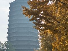 -玲珑塔公园