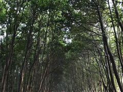 -艾溪湖湿地公园