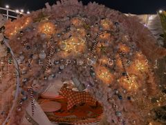 -天空花园餐吧·生日·团建(南山店)