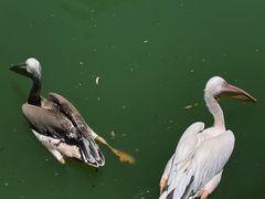 -云南野生动物园