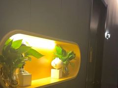 -梵猫·新养生(加州广场店)