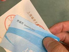 -龙阳路磁悬浮列车总站-停车场