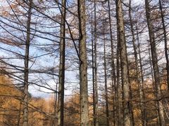 -秦岭风景区