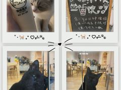 -猫咪派对(江南西店)