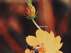 -响堂山石窟-北响堂山石窟