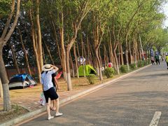 -丁香湖公园