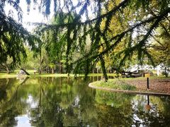 -上海共青森林公园