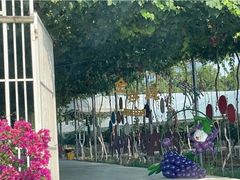 -金谷域澳洲庄园