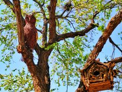 -北京西山国家森林公园