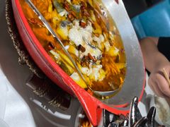 -雲蜀龙阁·金牌水煮鱼(方庄店)