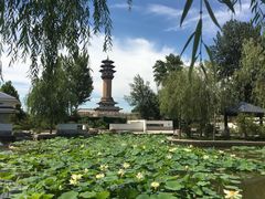 -廊坊市自然公园