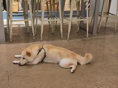 -微焙咖啡工厂(海峡创意产业园·红坊店)