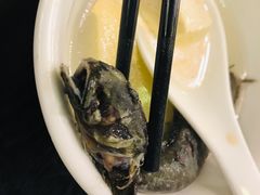 跳跳鱼豆腐汤-大厝宅海鲜馆