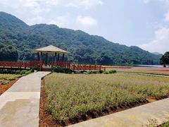 -广州市石门国家森林公园
