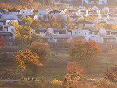 -塔川景区