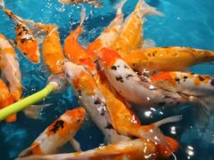 -大明湖海底世界