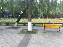 -宝寿司(红瓦寺店)