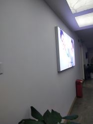 -大树儿童摄影