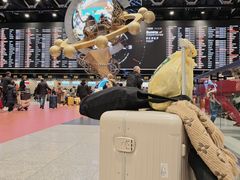 -谢列梅捷沃国际机场