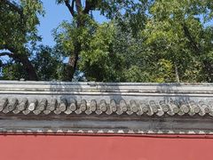 -北京国子监胡同