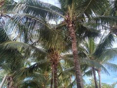 -三亚西岛海洋文化旅游区
