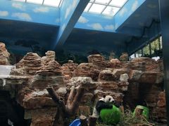 -石家庄市动物园