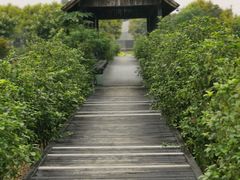-广东花都香草世界旅游度假区