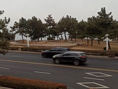 -青岛海景花园大酒店