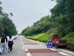 -铁山坪森林公园