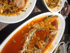 -陈麻婆豆腐(旗舰店)