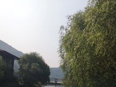 -天源渔港农庄