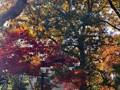 -虞山风景区