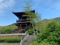 -大唐贡茶院