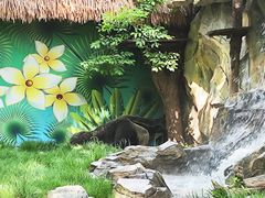 -巴蜀王婆大虾(南锣鼓巷店)
