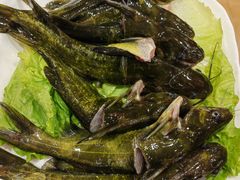 贵州自然水域生长的鲜捞黄辣丁鱼-亮欢寨(凯里总店)