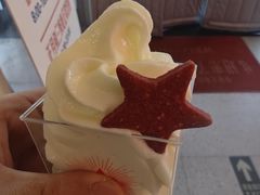 -红星前进面包牛奶公司(畅春园店)
