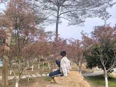 -广州市帽峰山景区