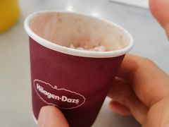 -哈根达斯(青岛海信店)