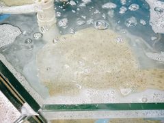 -雅逸居海鲜小厨