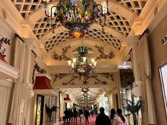 -拉斯维加斯永利酒店