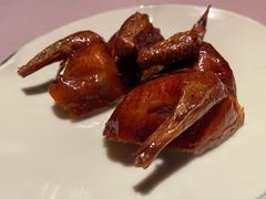 金牌妙龄乳鸽-新荣记(南京西路店)