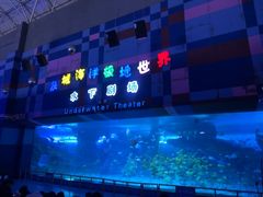 -泉城欧乐堡海洋极地世界